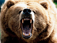 Как отправиться на охоту и рыбалку на Камчатку