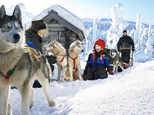 По Карелии на собачьих упряжках