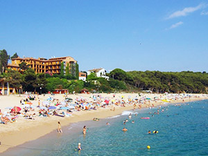 Отзыв Дмитрия и Ольги