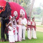 Шри-Ланка - свадьба